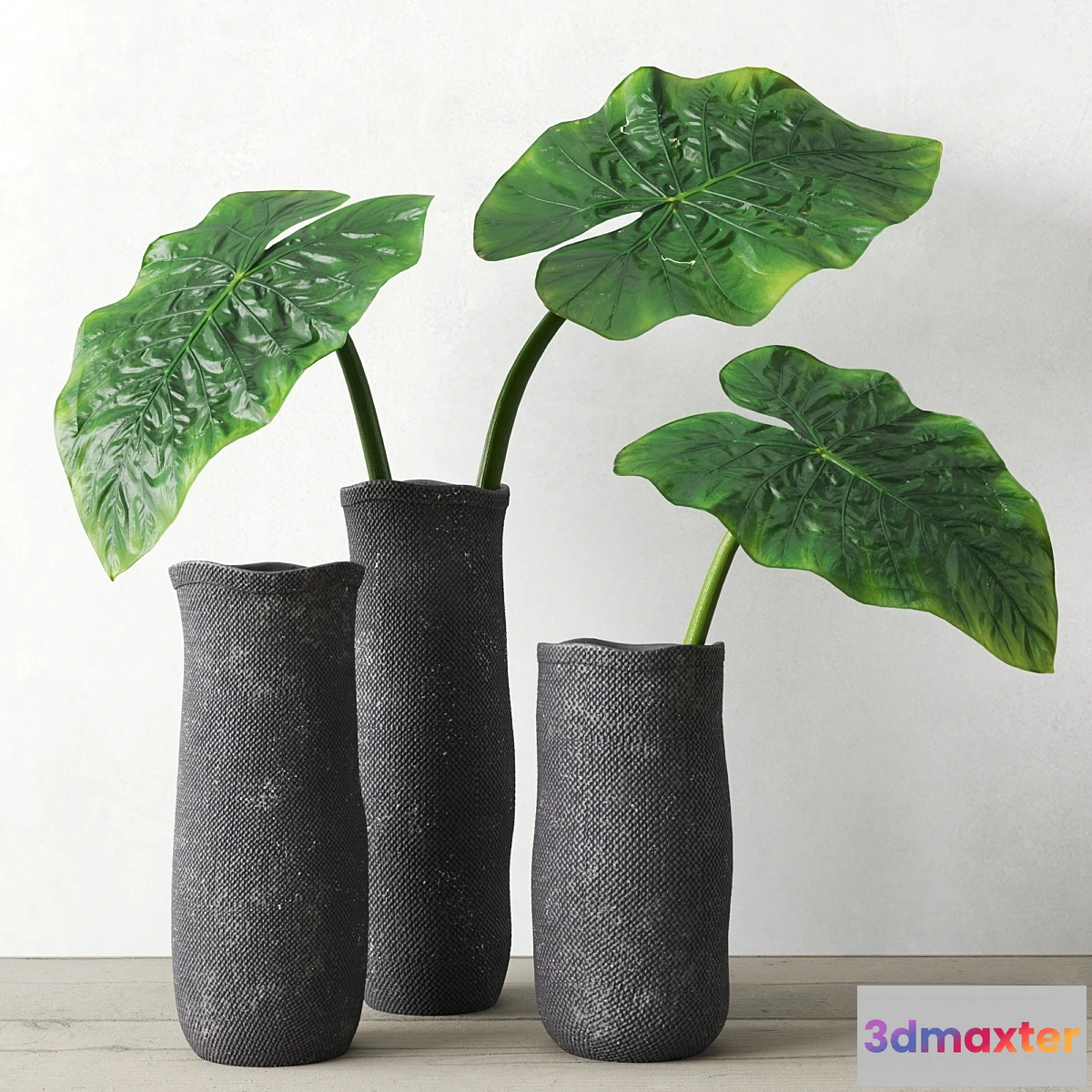 592732 - Restoration Hardware Crosshatch Concrete Vase Collection With Taro Leaves