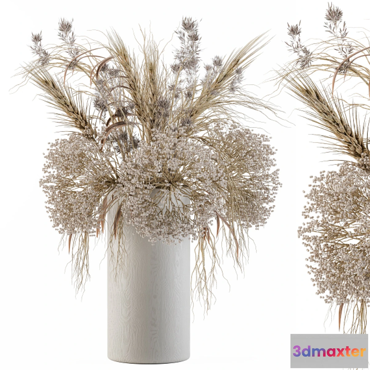 592746 - Dry Plants Set 08