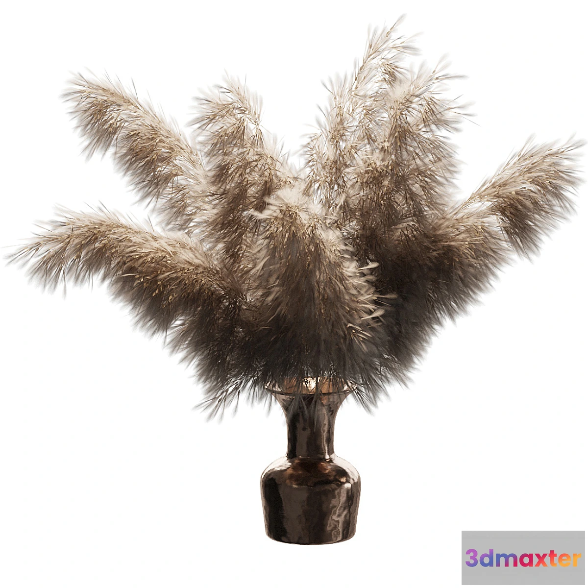 593102 - Dried plant