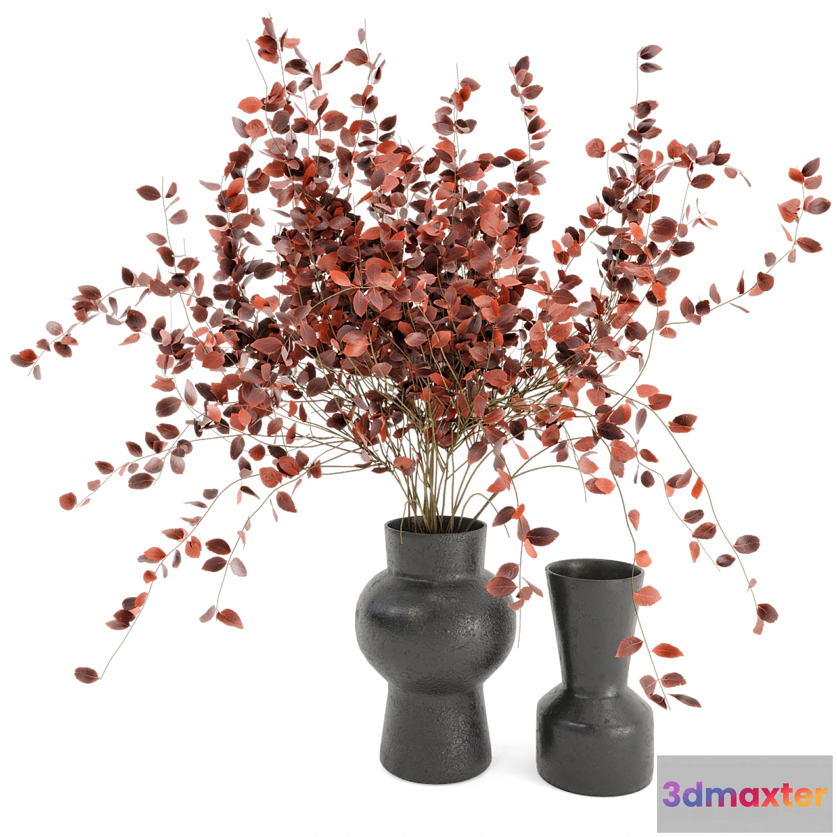 593128 - Indoor Plants in rusty Concrete Pots - Set 38