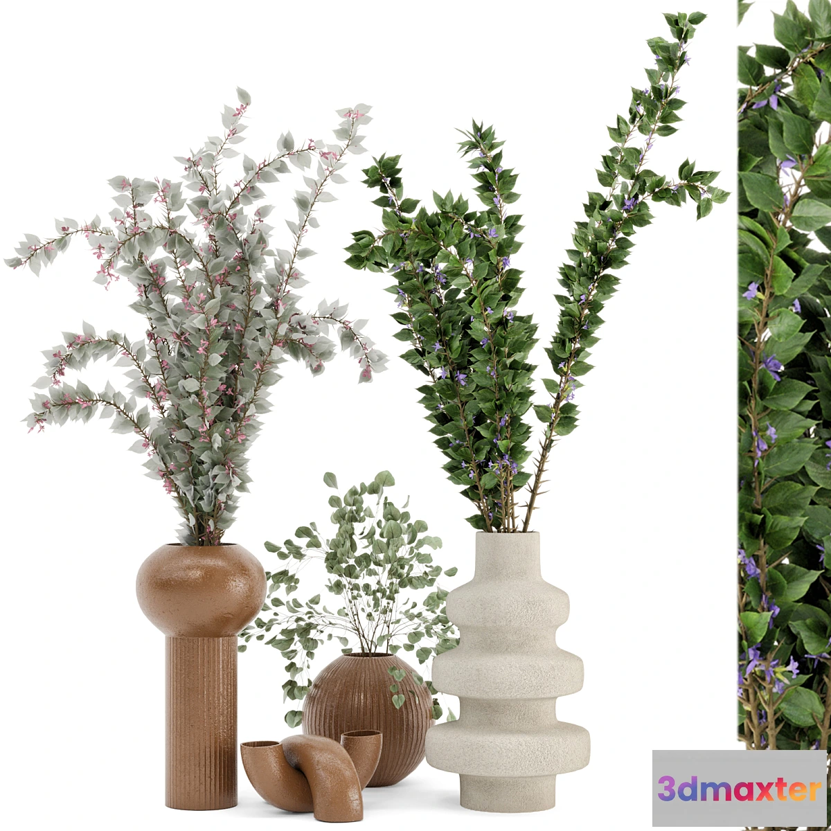 593222 - Indoor Plants in rusty Concrete Pots - Set 77