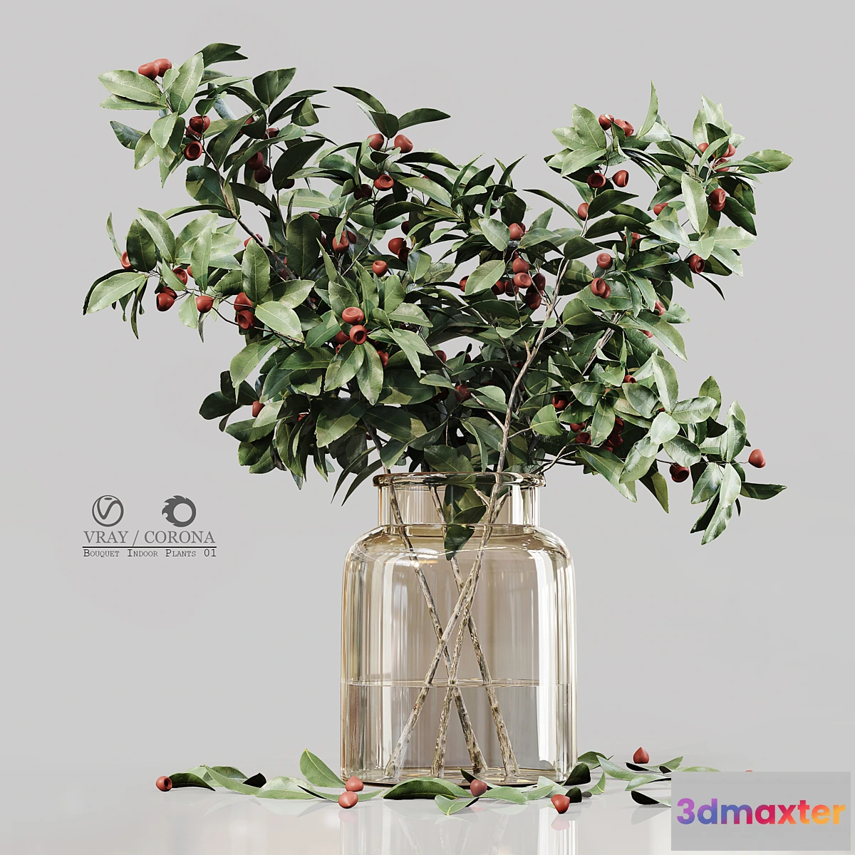 593890 - Bouquet Indoor Plants 01