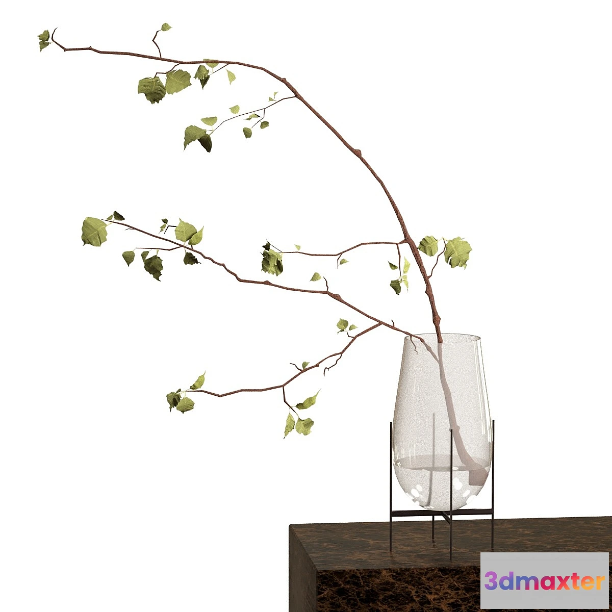 593986 - Branch in a vase