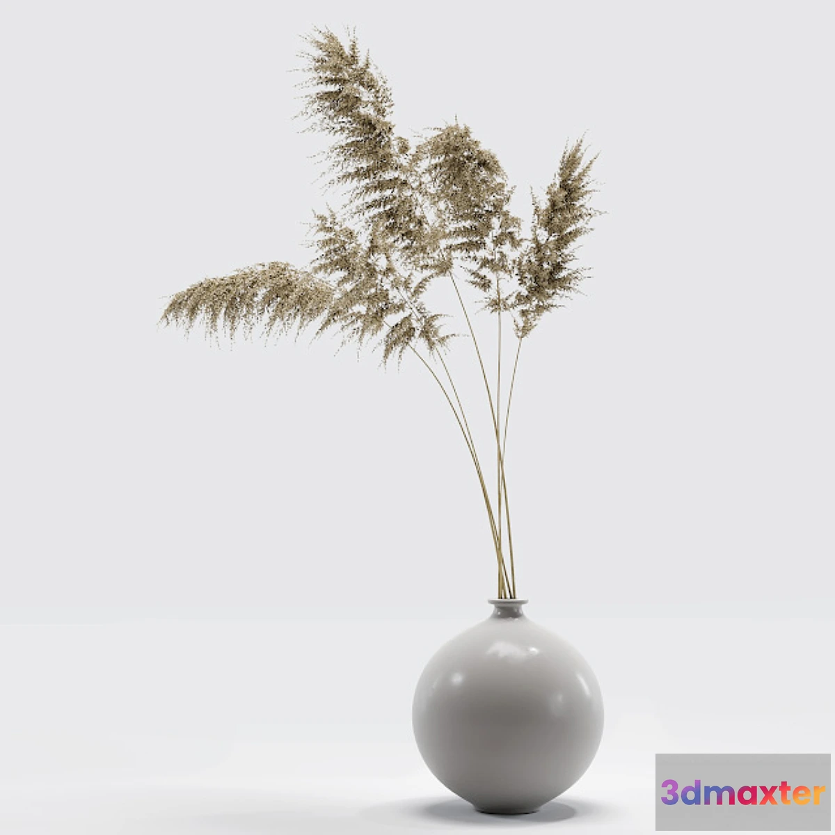 594500 - Vase with dried flowers 0002