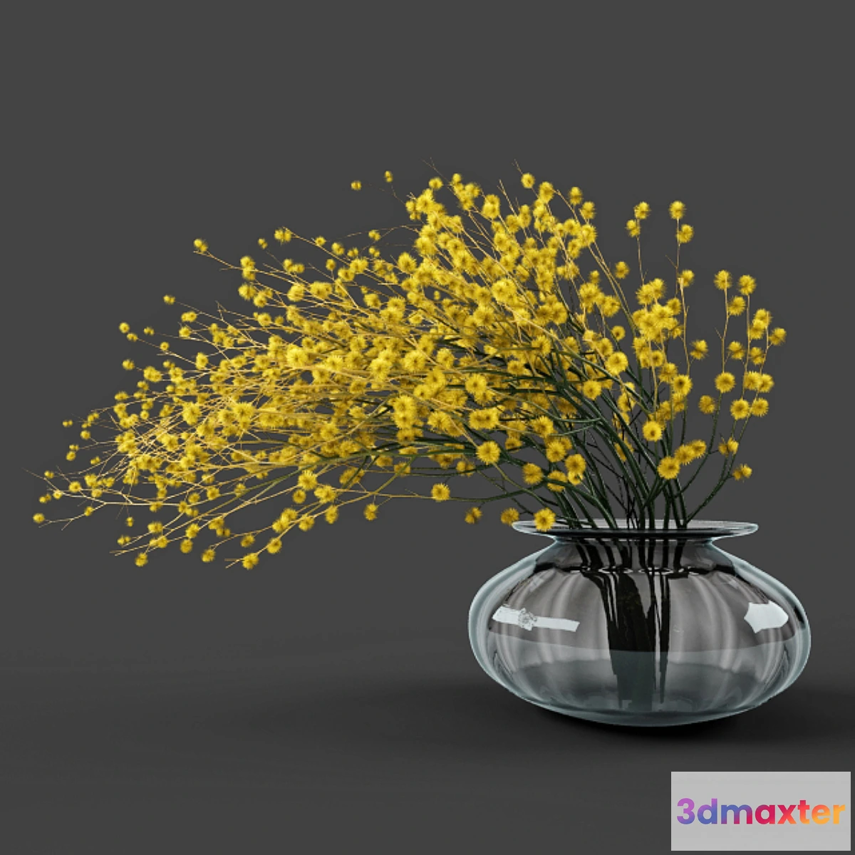 594508 - Vase acacia