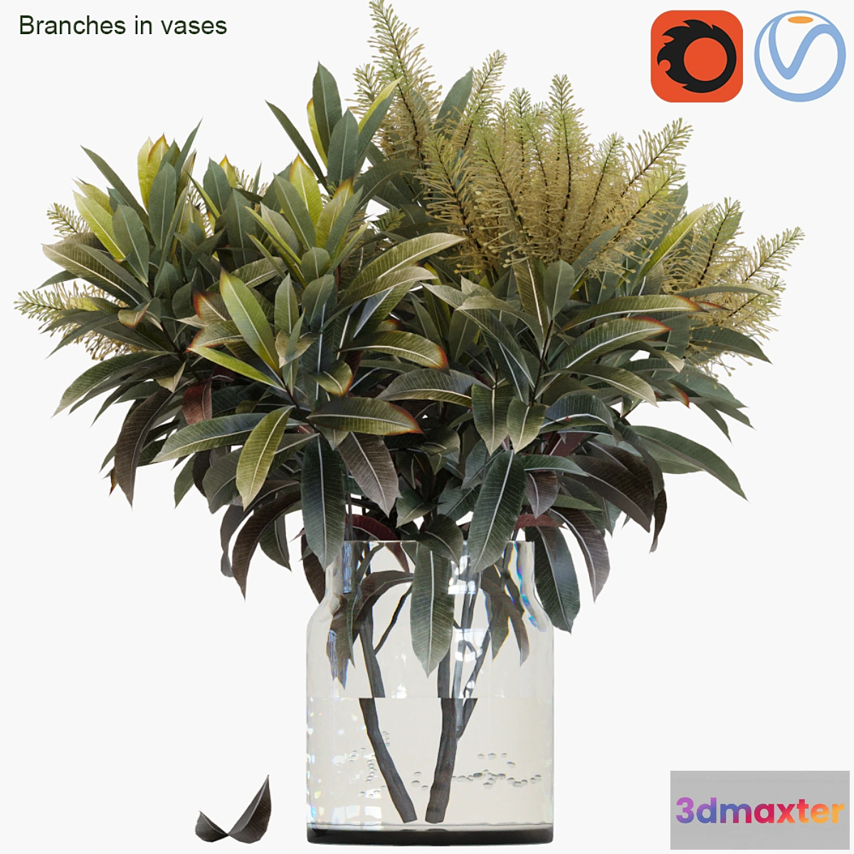 594514 - Branches in vases 25