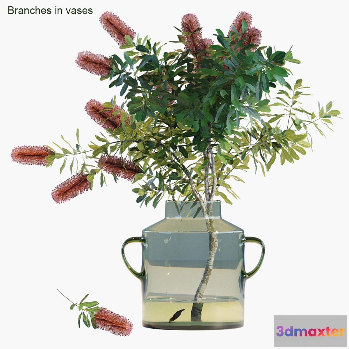 594700 - Branches in vases 31
