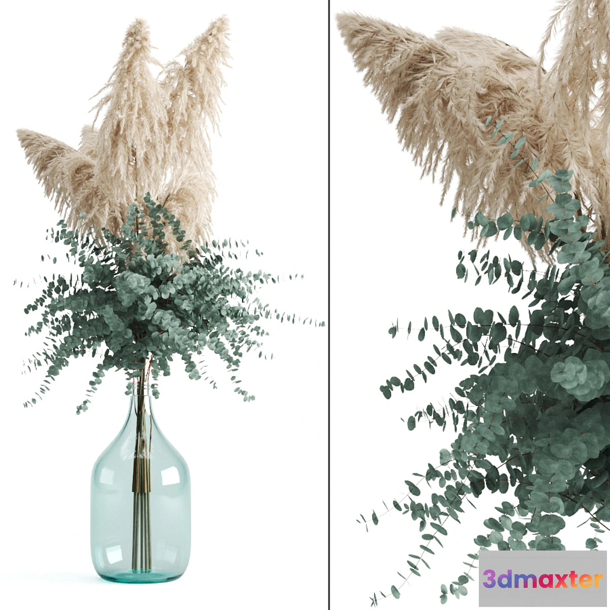 594786 - Cortaderia and eucalyptus in a large bottle