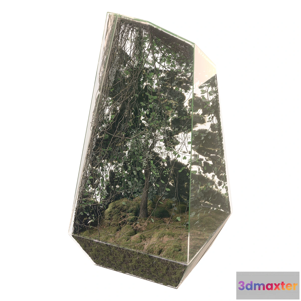 594854 - miniature garden