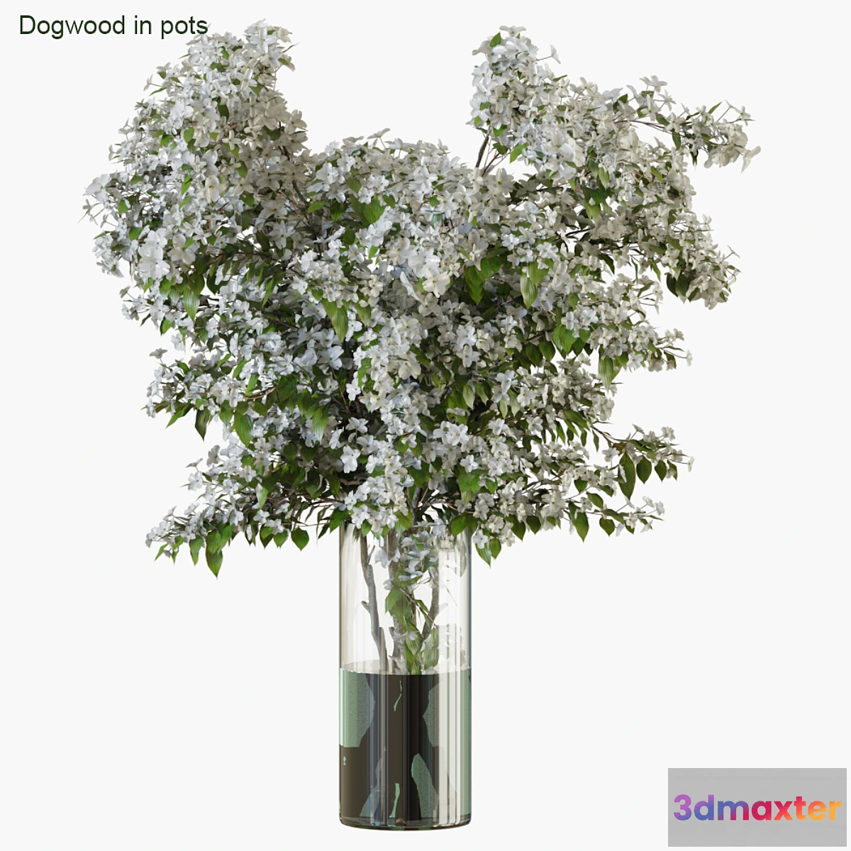 594936 - Branches in vases 34