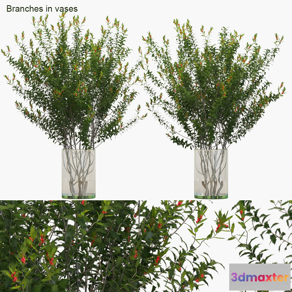 618587 - Branches in vases Dragon Lady