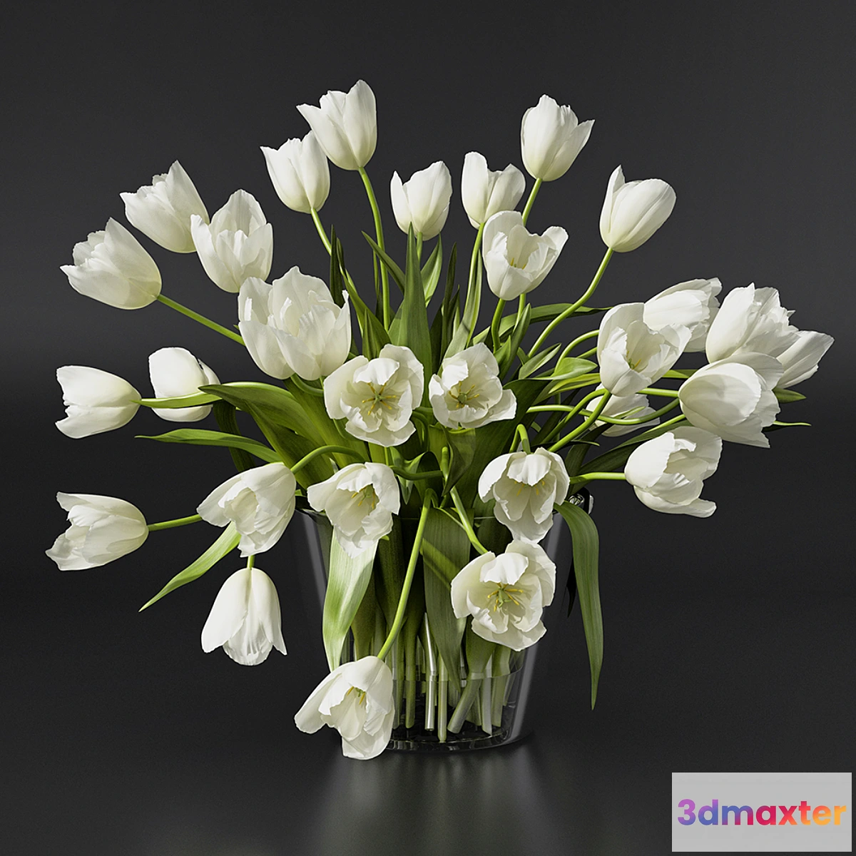 618609 - Tulips - No.5