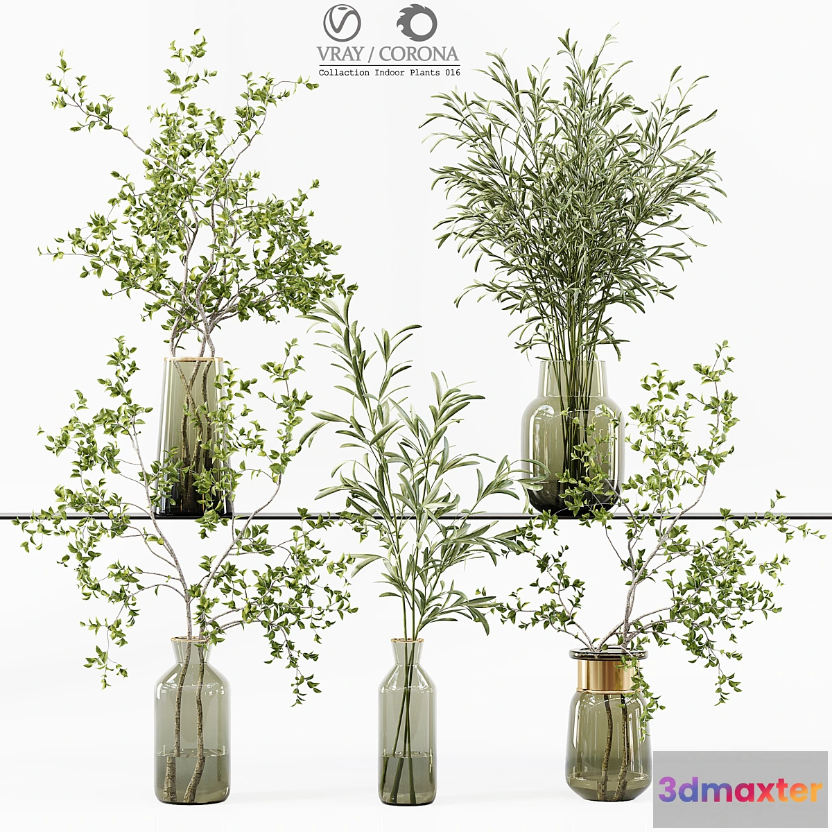 618625 - Collection Indoor Plants 016