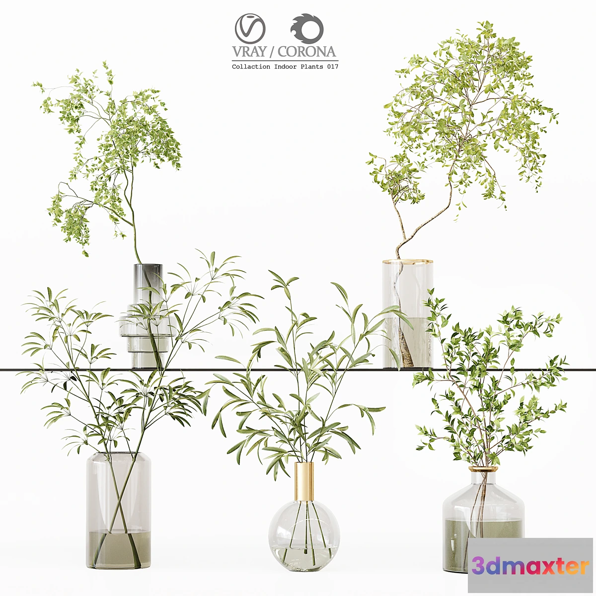 618627 - Collection Indoor Plants 017