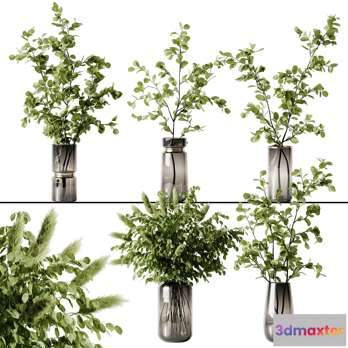 618631 - Plant 3 - No.3