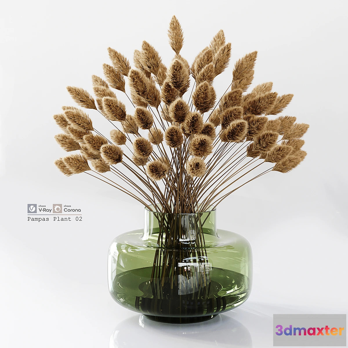 618639 - Pampas Plant 02