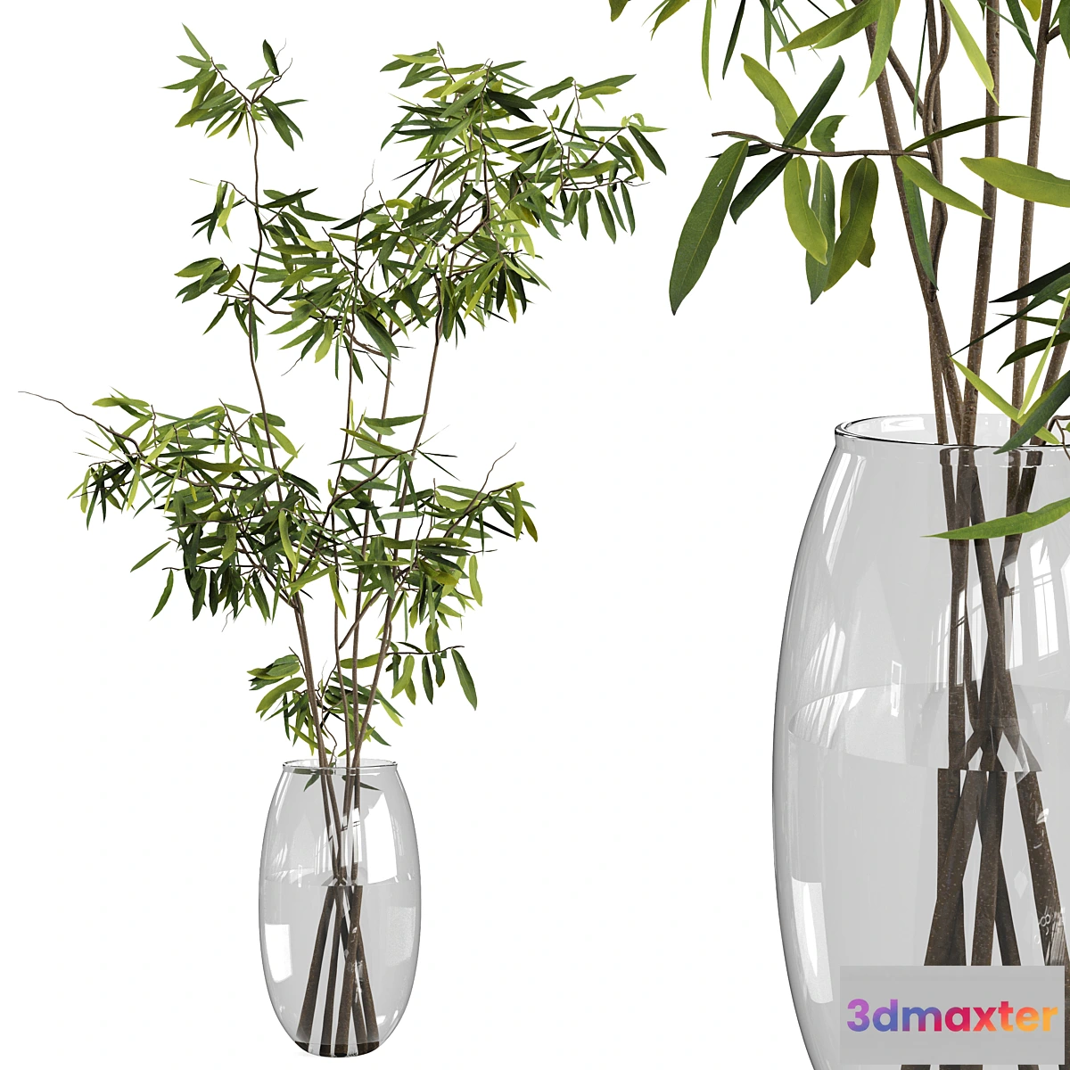 618641 - Ficus branches bouquet set 01