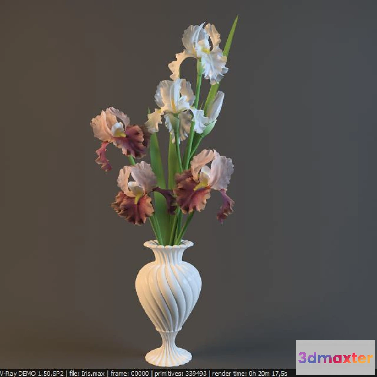 619697 - Irises in a vase