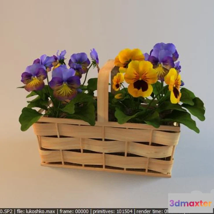 619699 - Viola - No.2