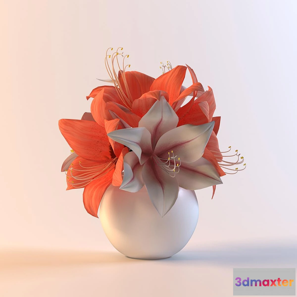 619717 - Bouquet gippeastrumov