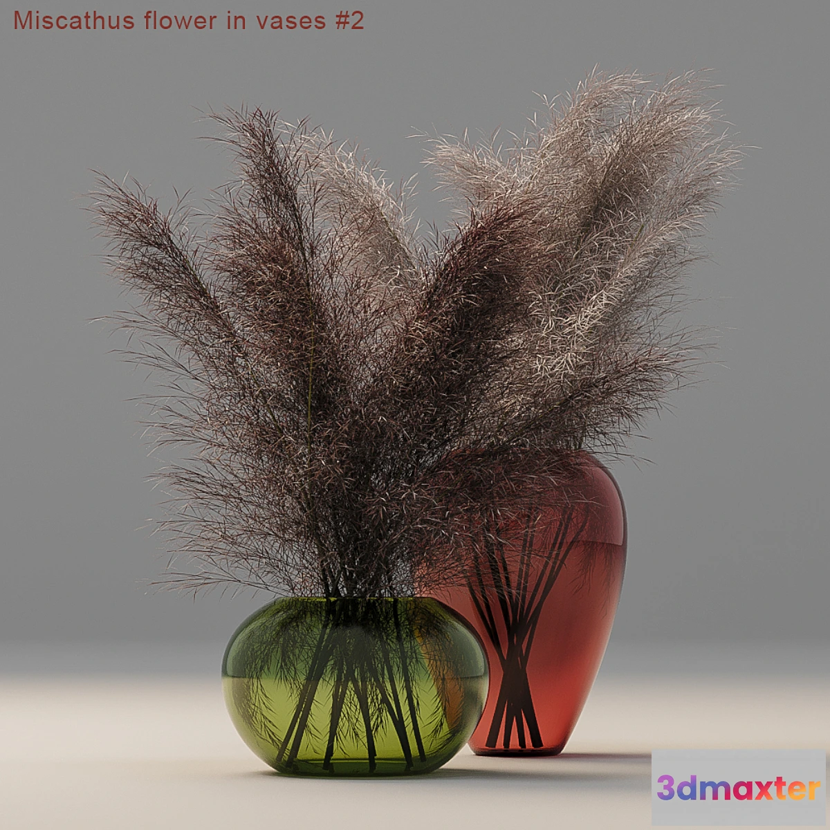 629795 - Miscathus flower in vases # 2 - No.2