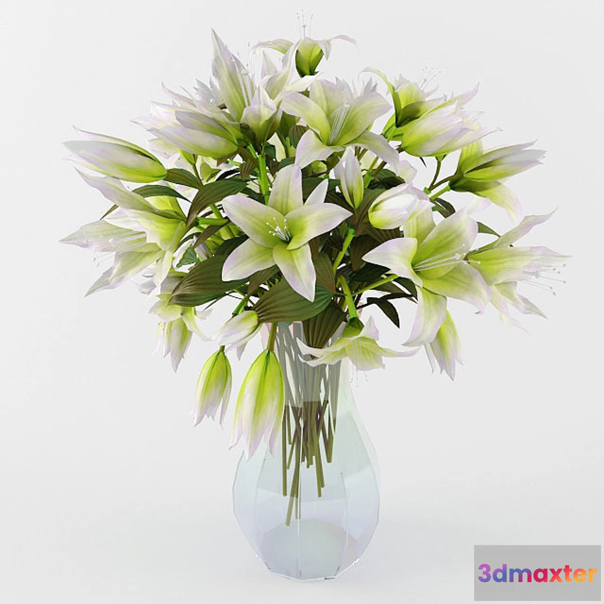 631823 - lily - No.3