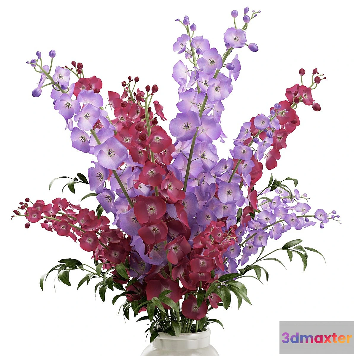 631843 - Delphinium in a vase