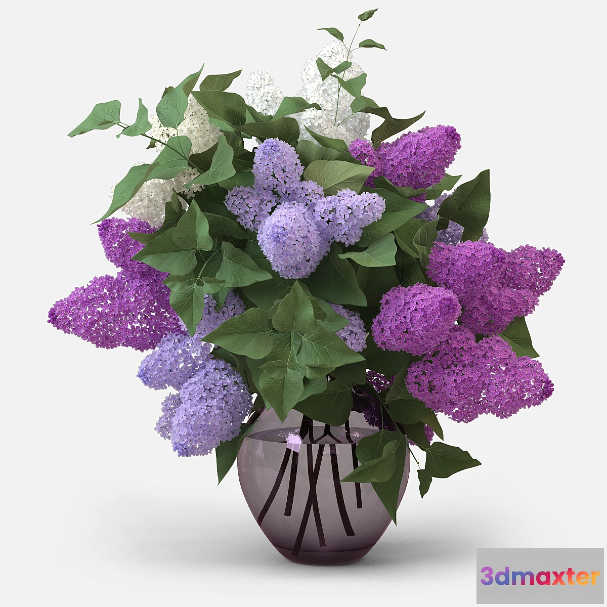 631847 - Lilac Bouquet