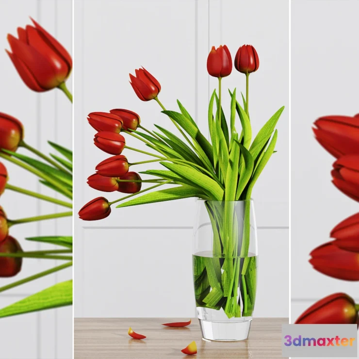 636481 - TULIP FLOWERS - No.2