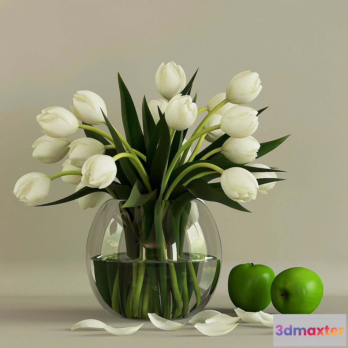 636493 - Tulips - No.7