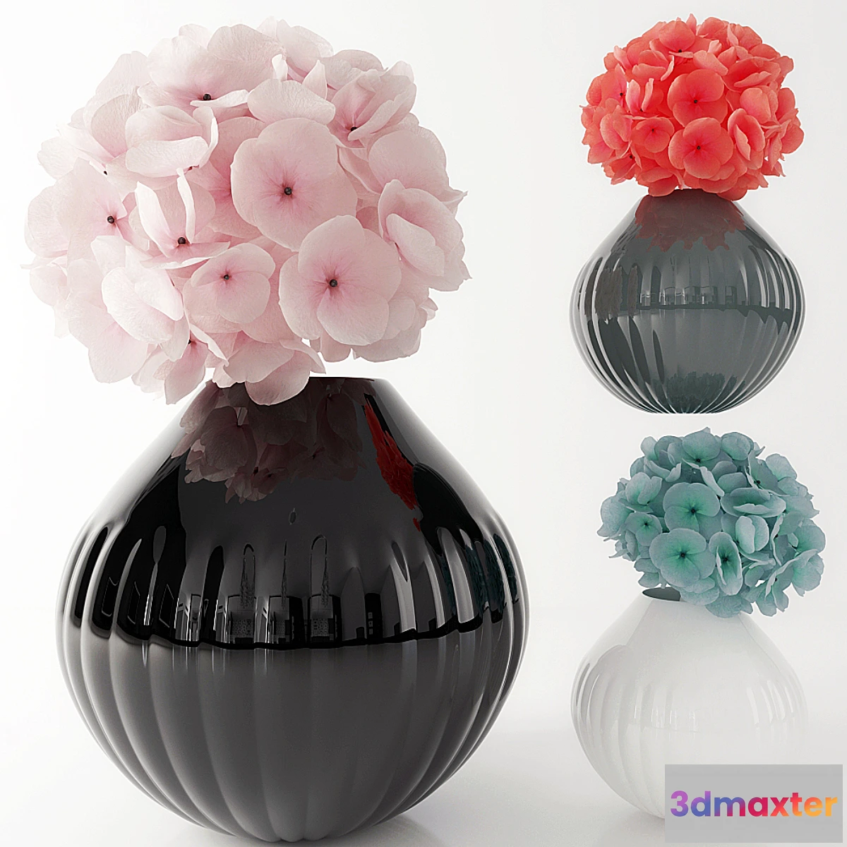 636533 - Hydrangea - No.3