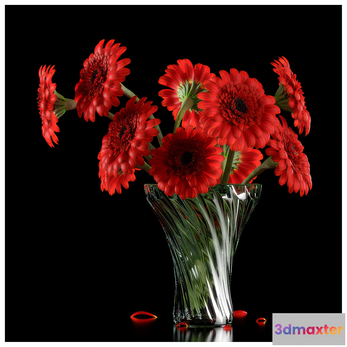 636539 - RED GERBERA