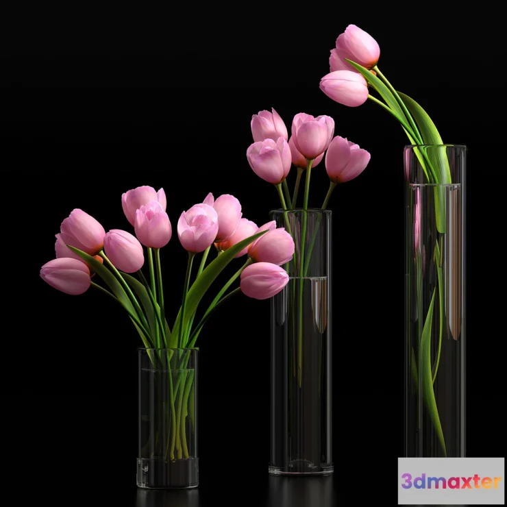 636563 - TULIP 5 - No.2