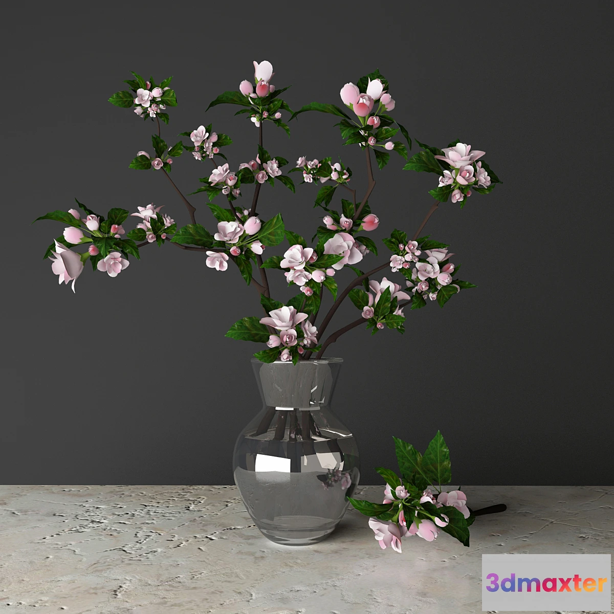 639761 - tsyvety apple