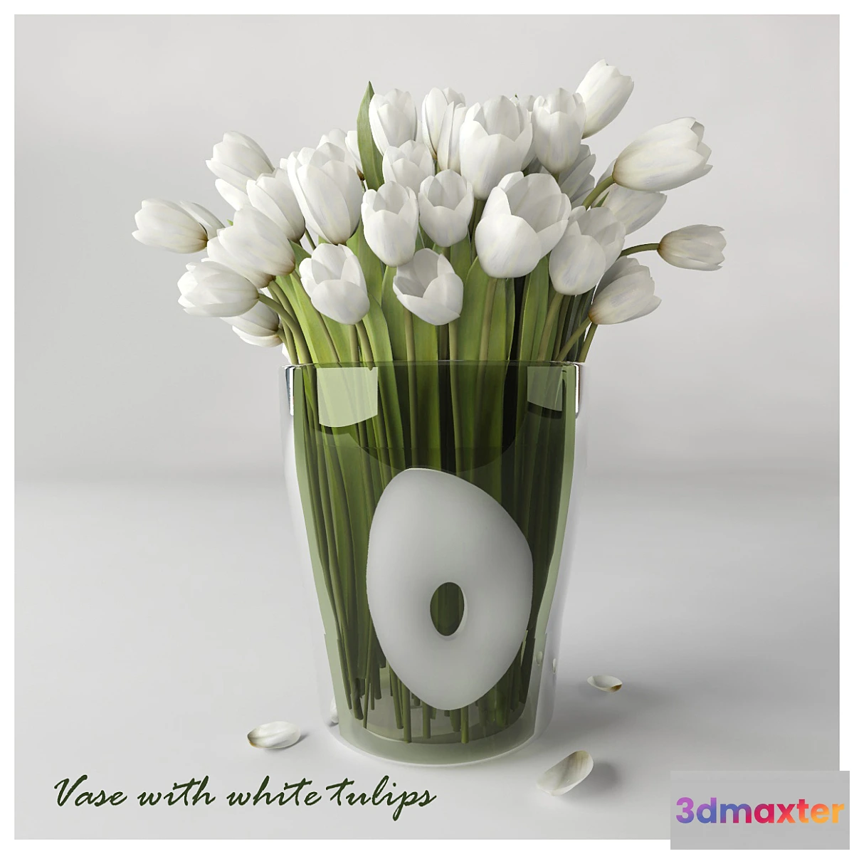 642929 - Vase with white tulips