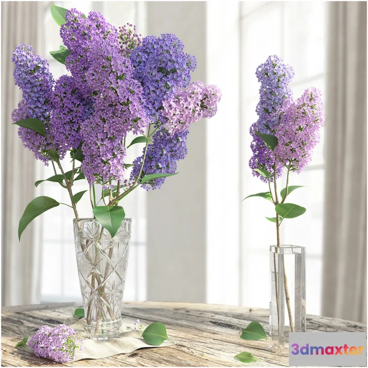 642937 - The LILAC _ LILAC - No.2