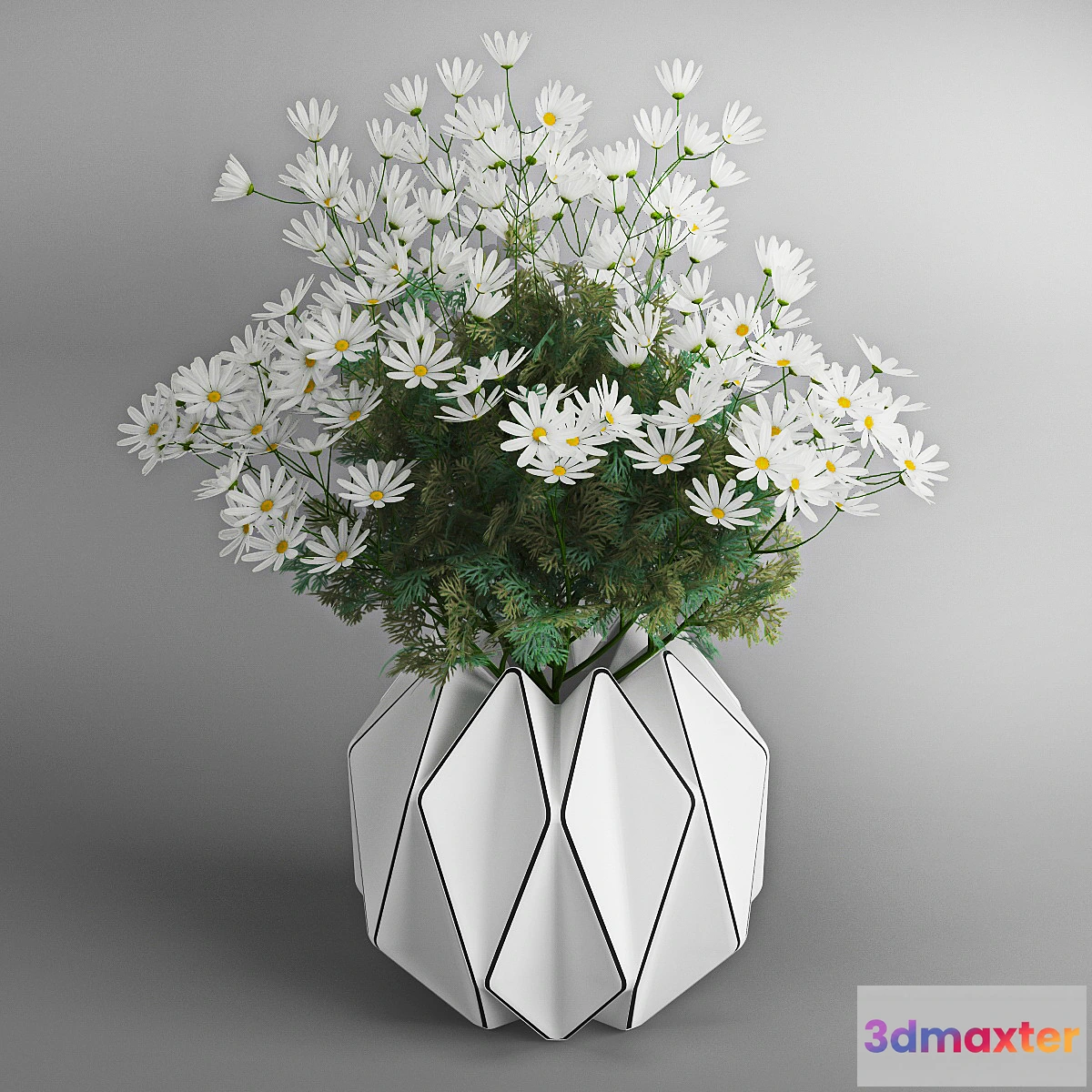 645717 - Daisies - No.3