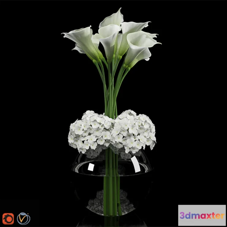 645729 - Calla Lily 2 - No.2