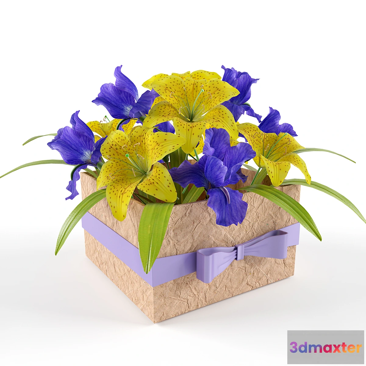 645771 - Box with flowers