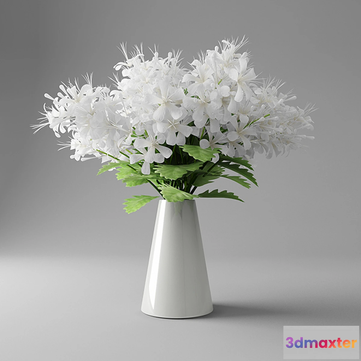 645819 - White butterfly in Vase