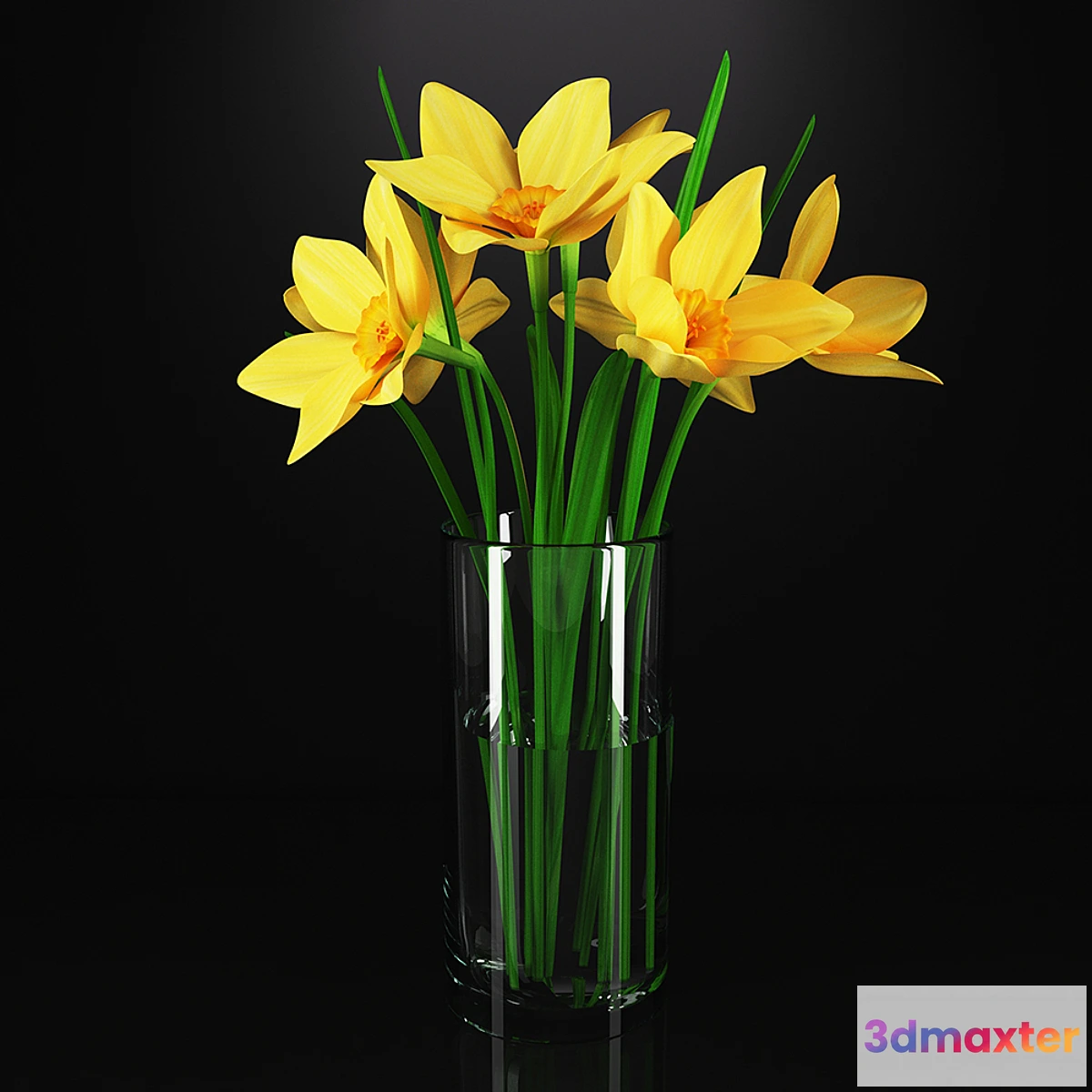 645963 - Daffodils in a glass vase