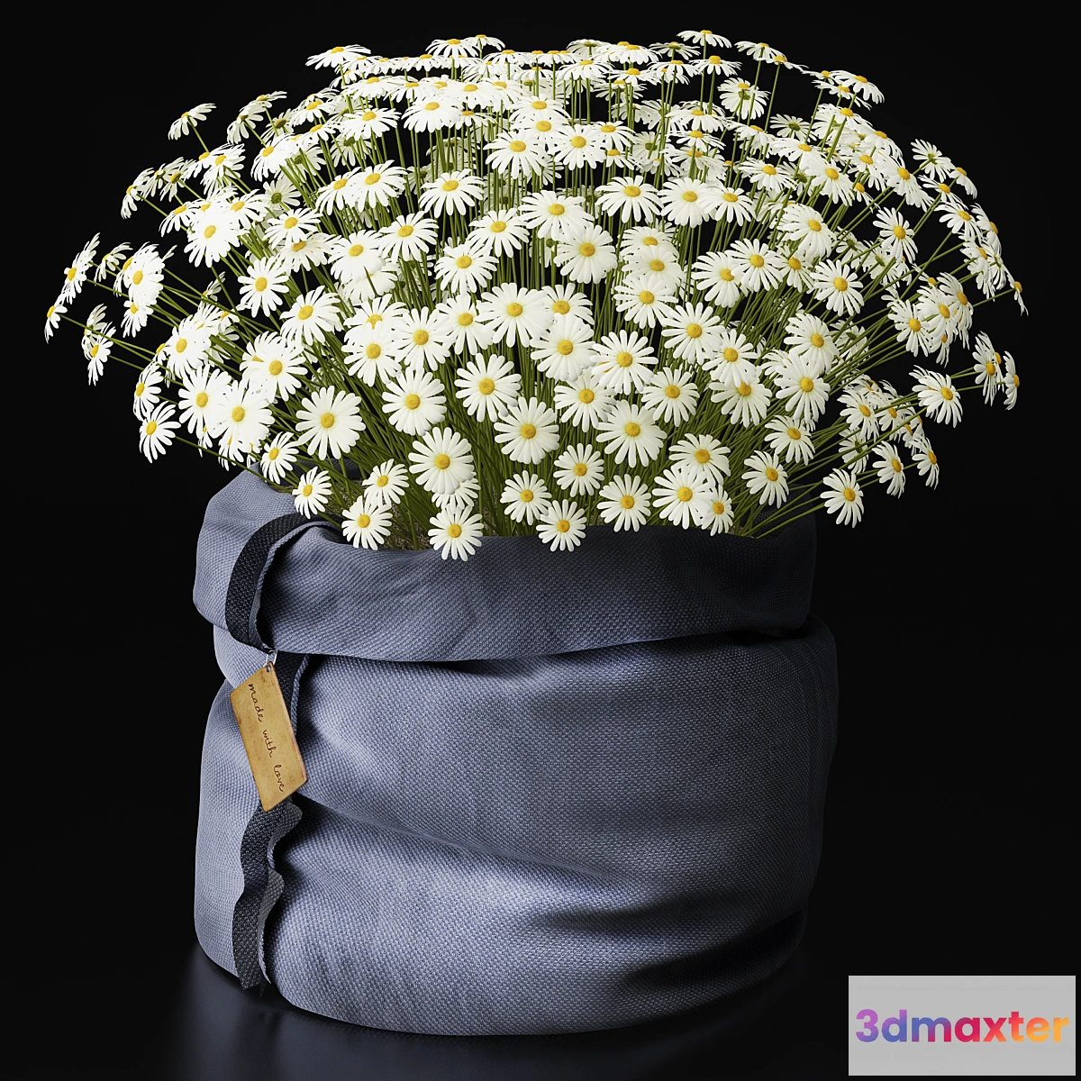 646047 - Chamomile  with love