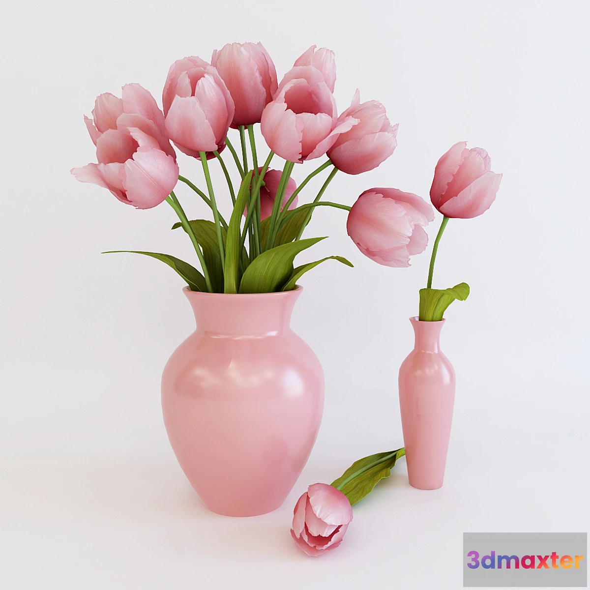 646091 - Pink tulips