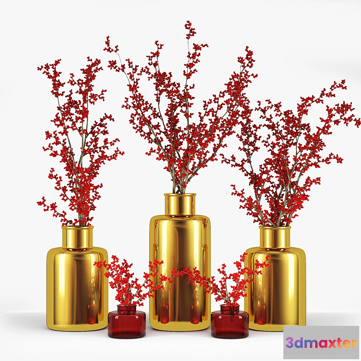 646097 - Branches with Berries in a Vase