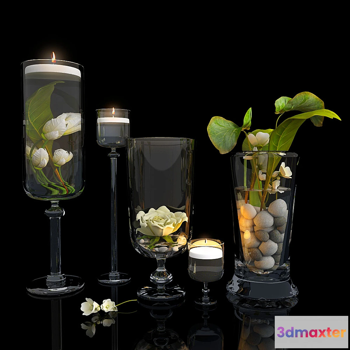 649949 - Plants in glass vases