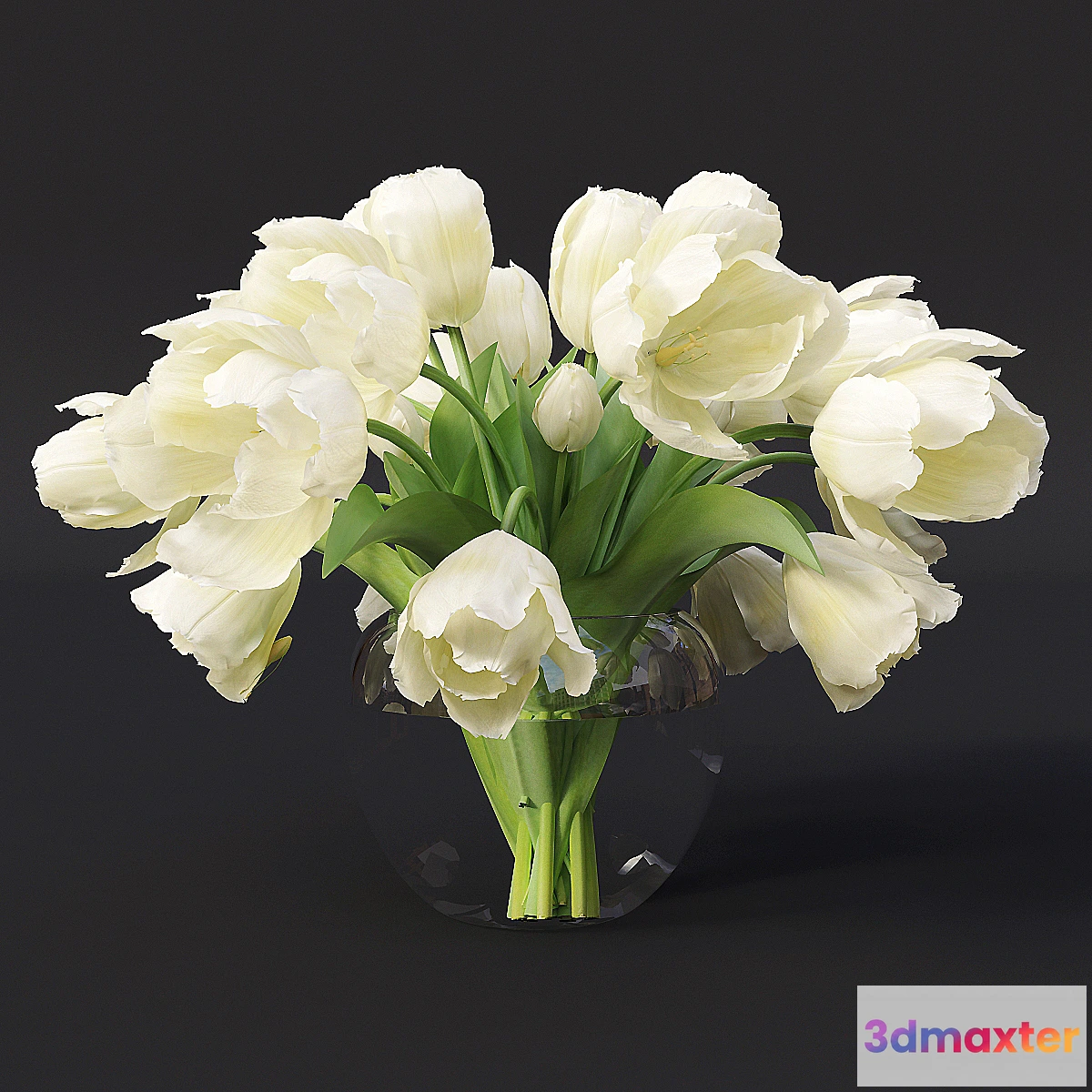 650091 - Tulips 7 - No.2