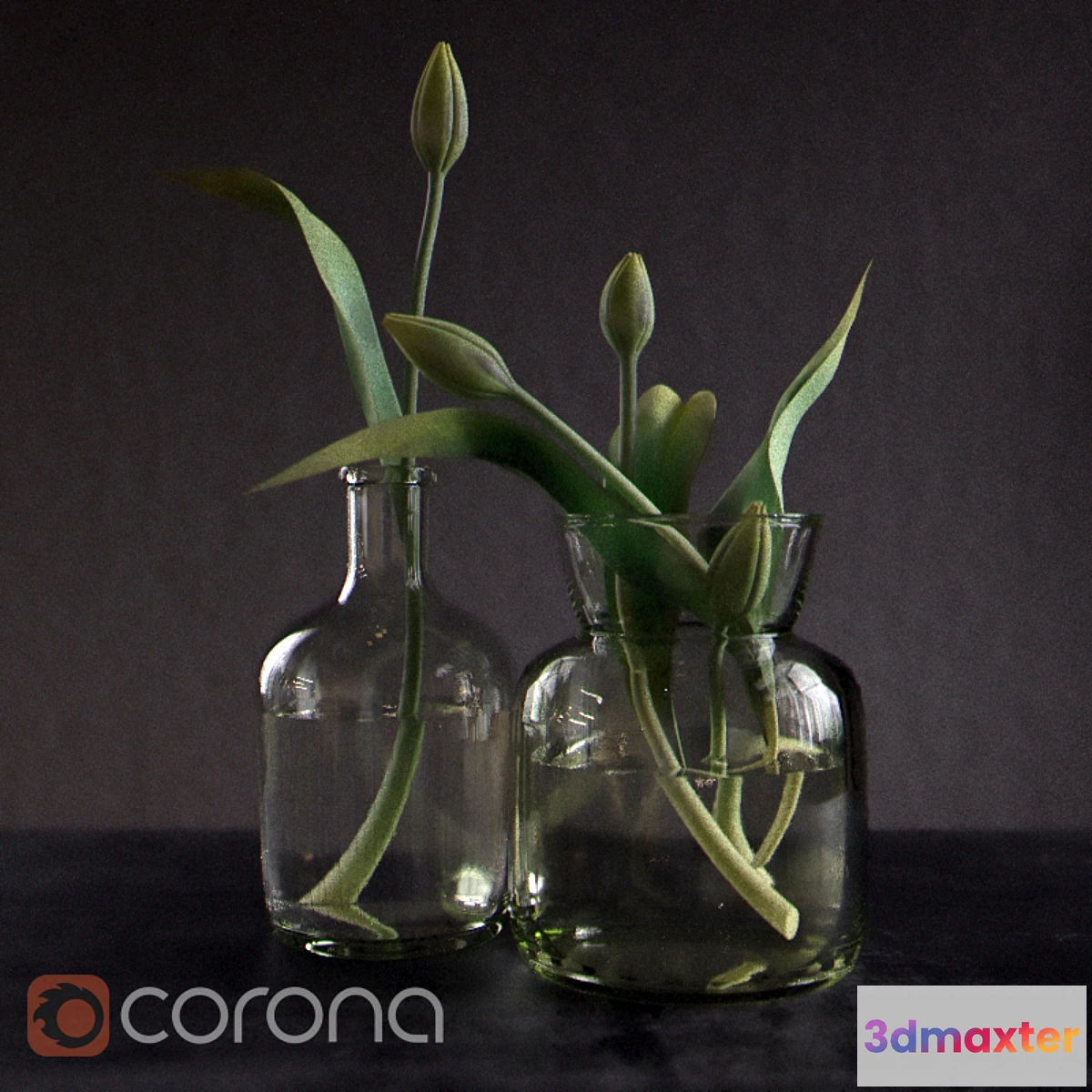 650177 - Green_tulips