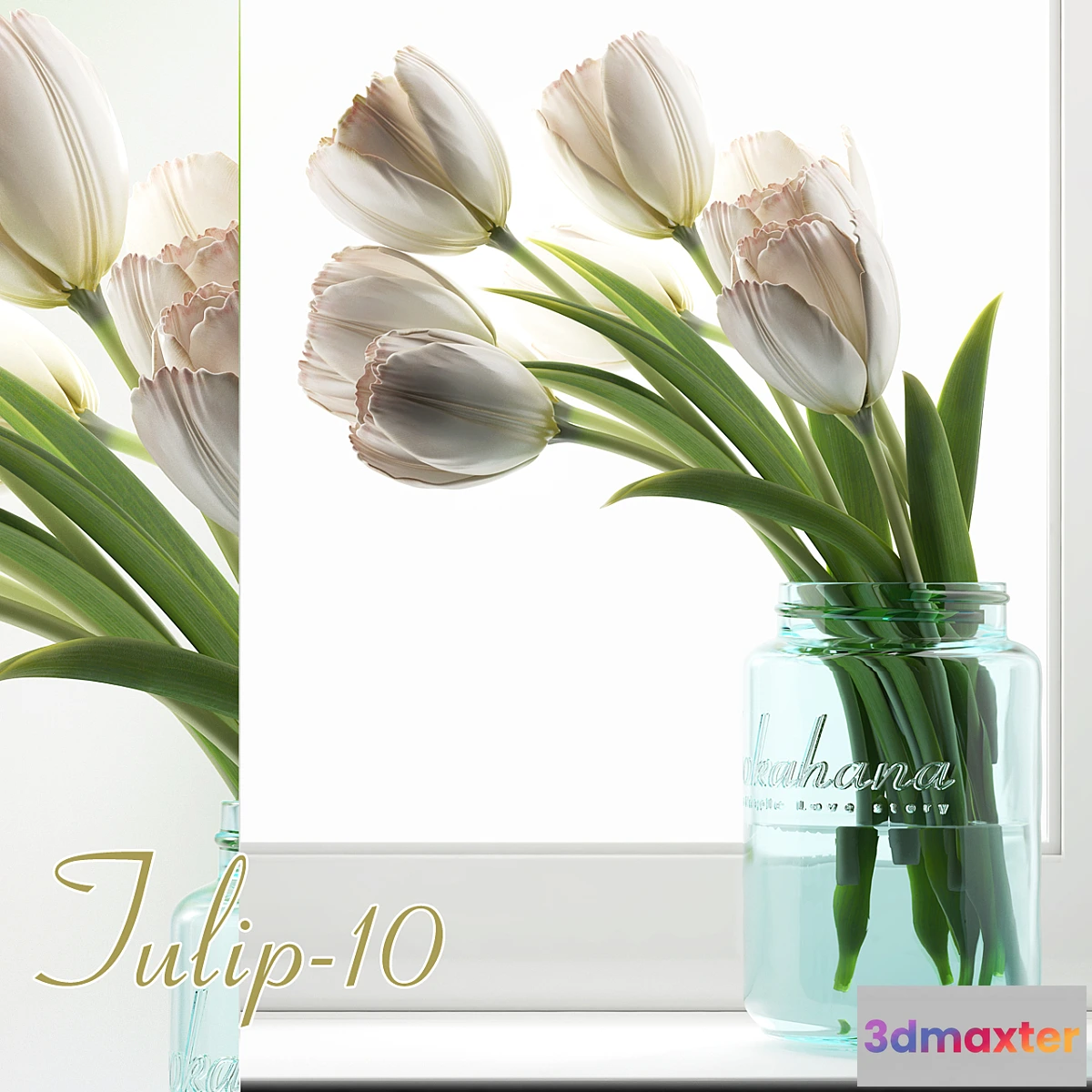 654935 - Tulip 10