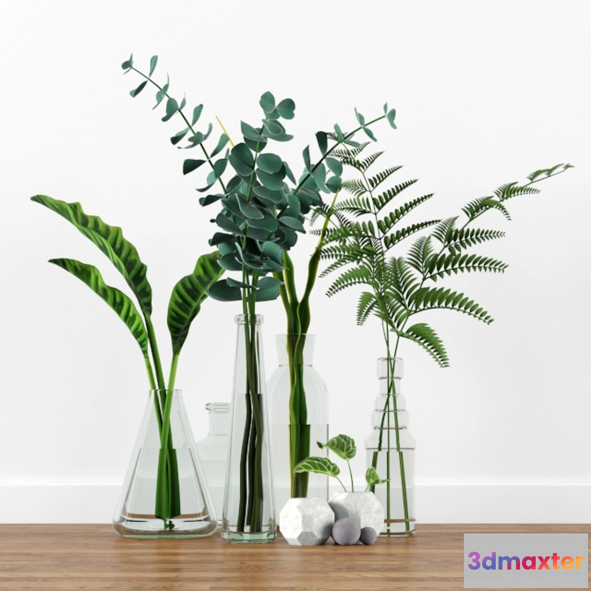 654947 - Plants tree indoor 2