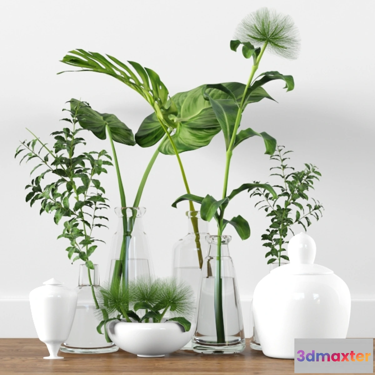 654949 - Plants tree indoor